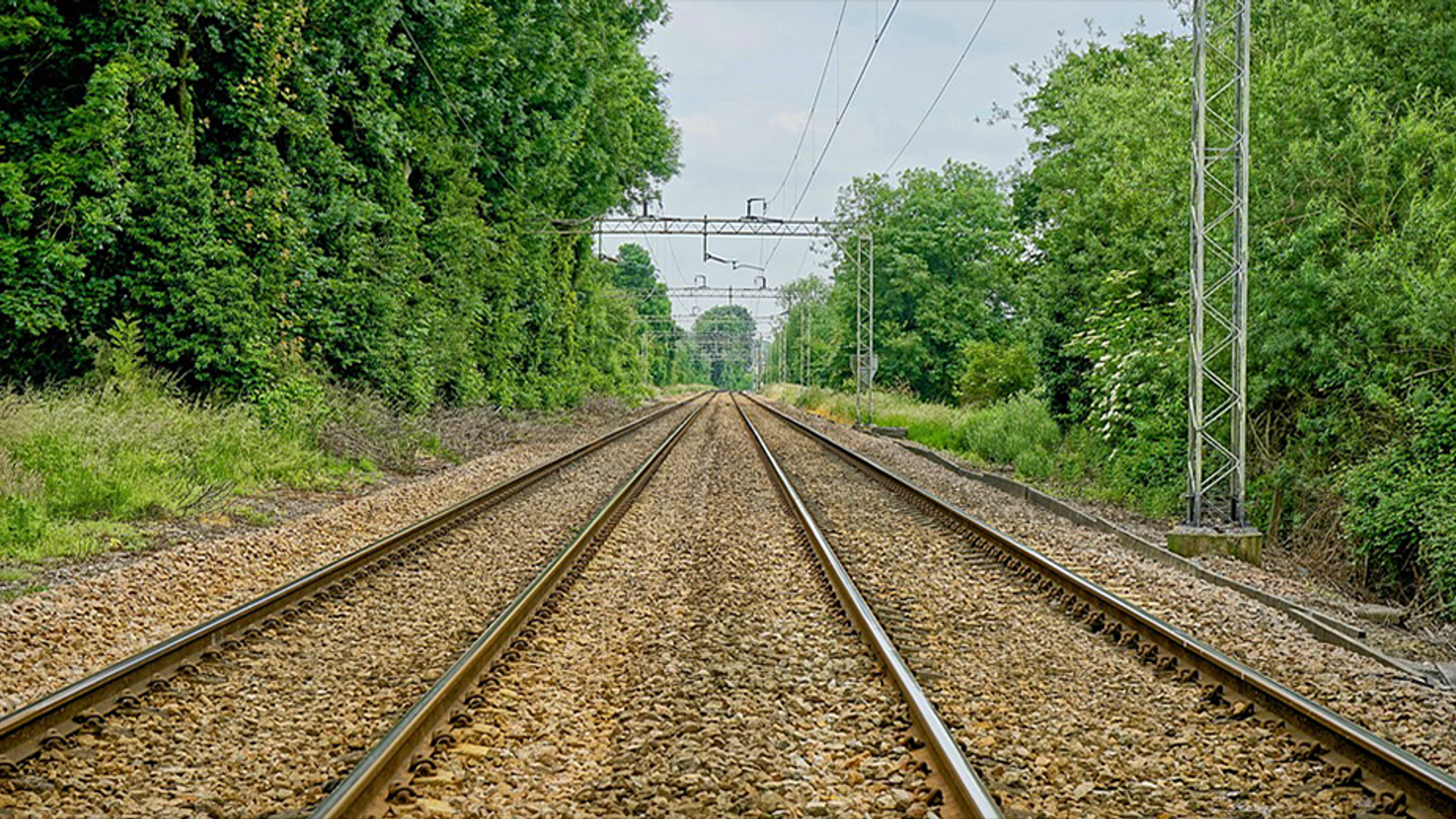 spoor bomen trein