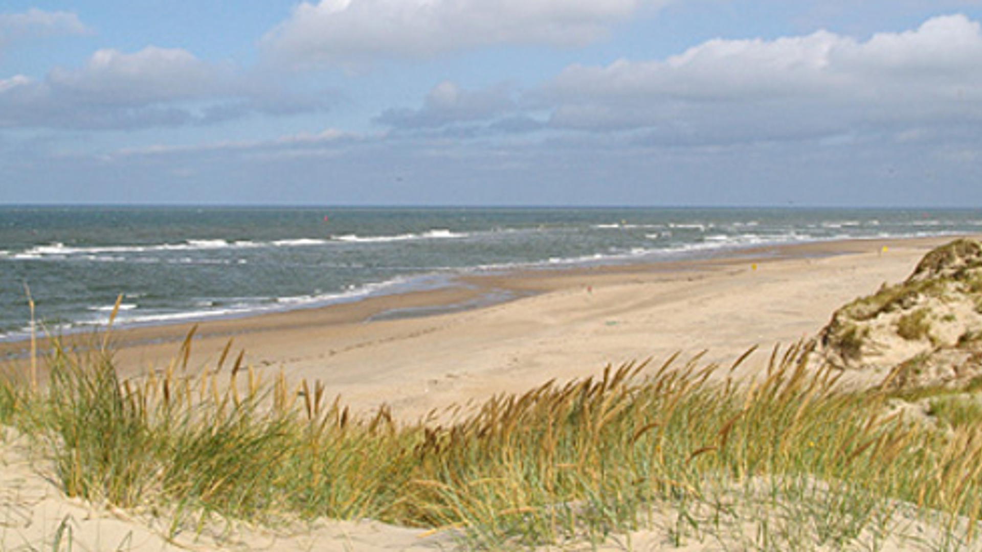 strandNederland.jpg