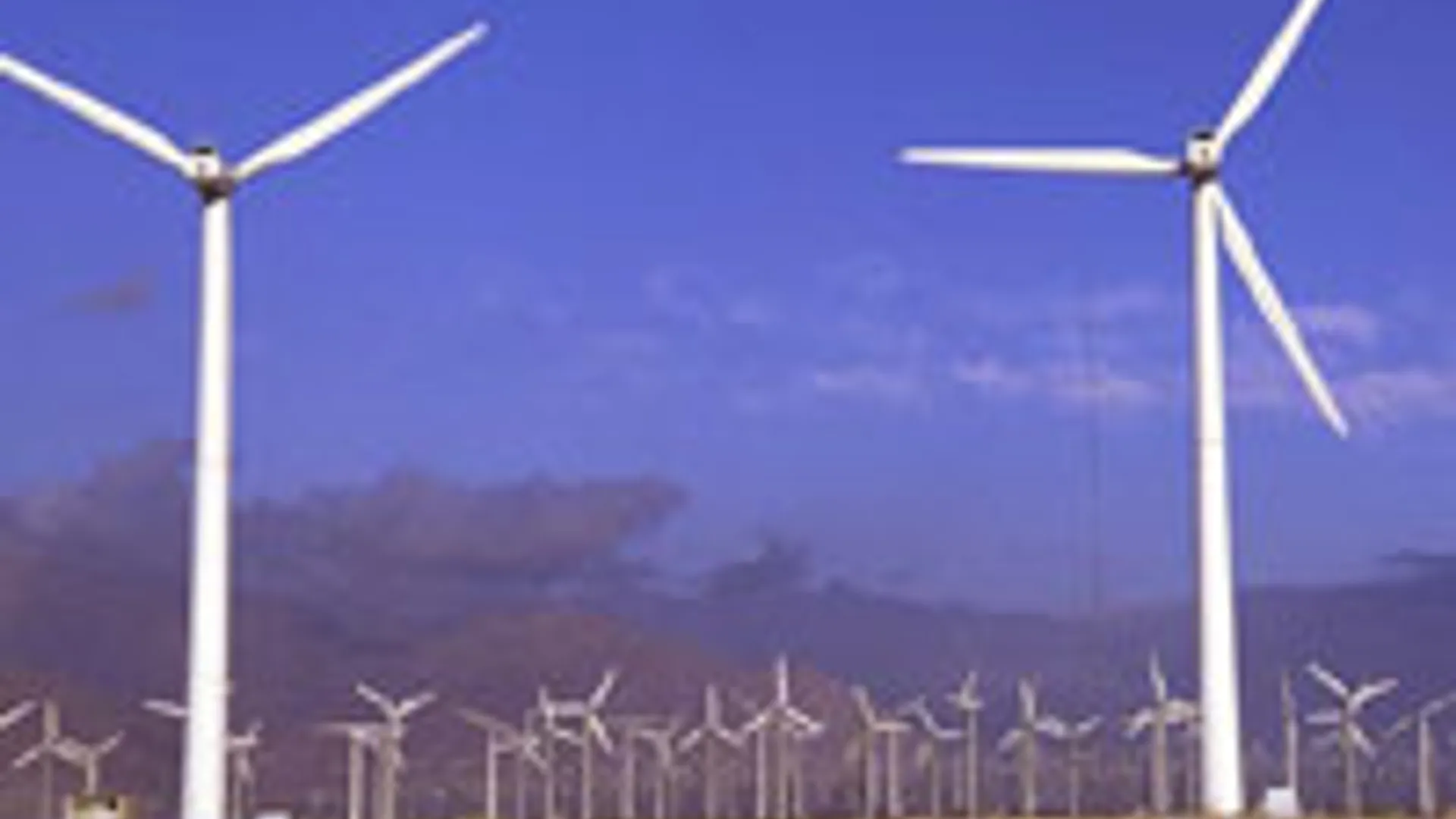 windmolen_01.jpeg