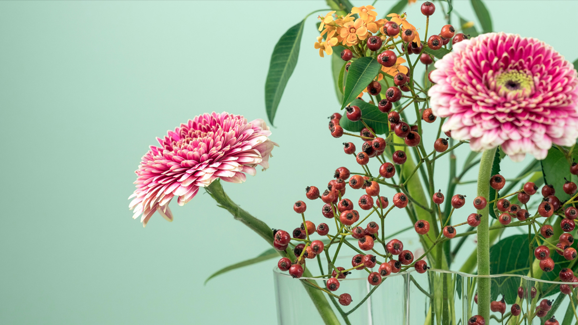 bloemen 1127