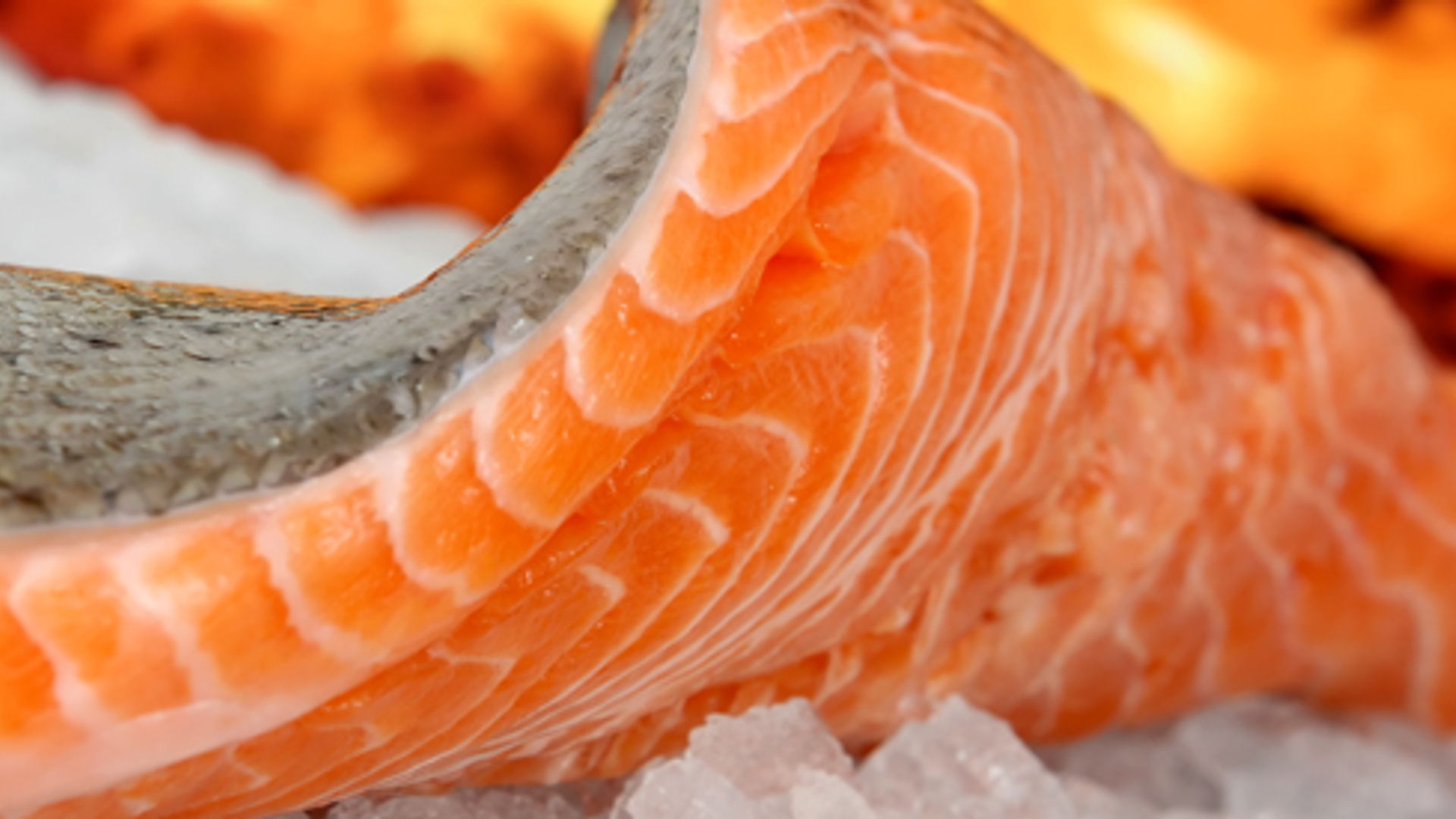 600x275_zalm1.jpg