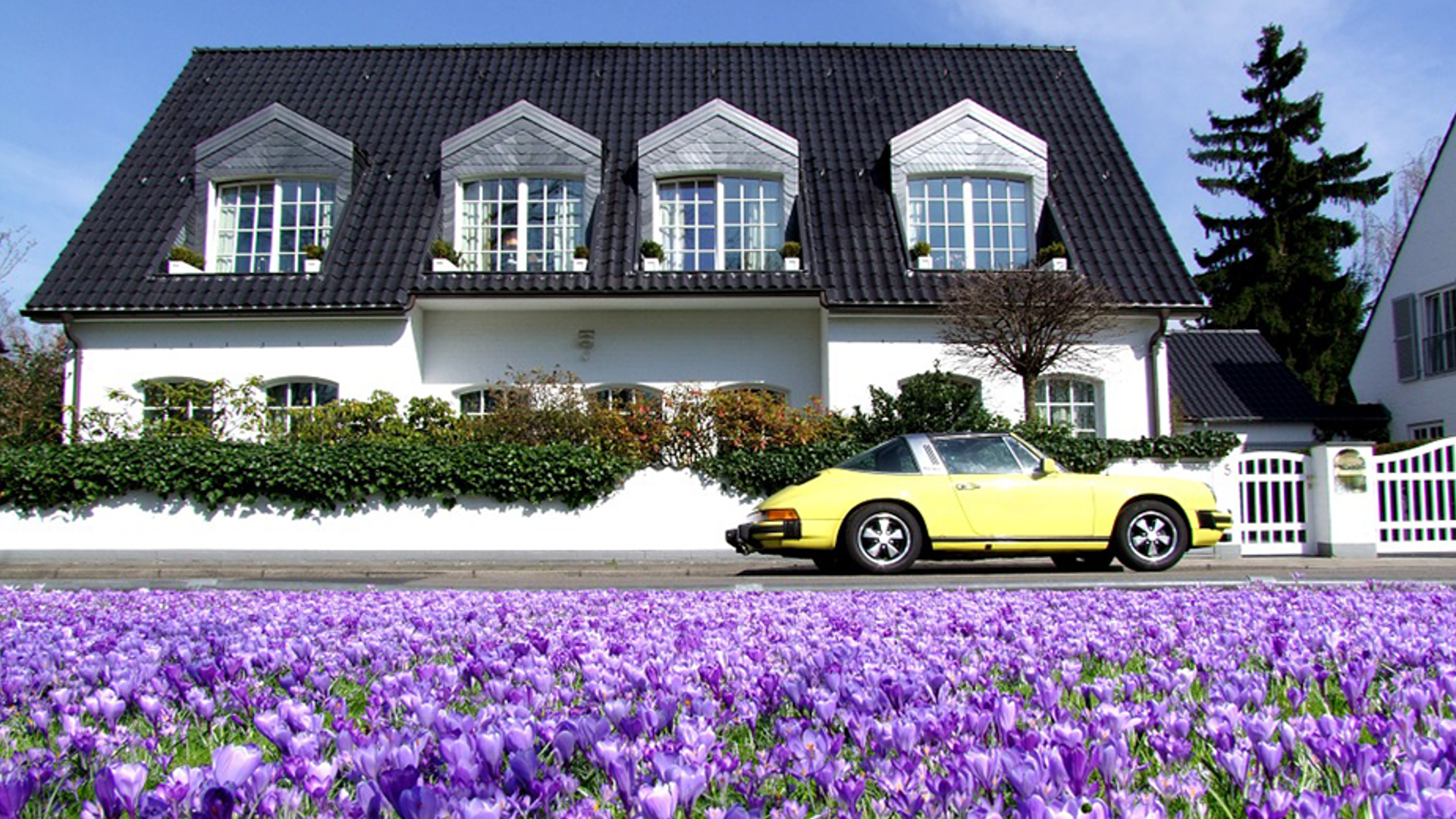 villa930x520