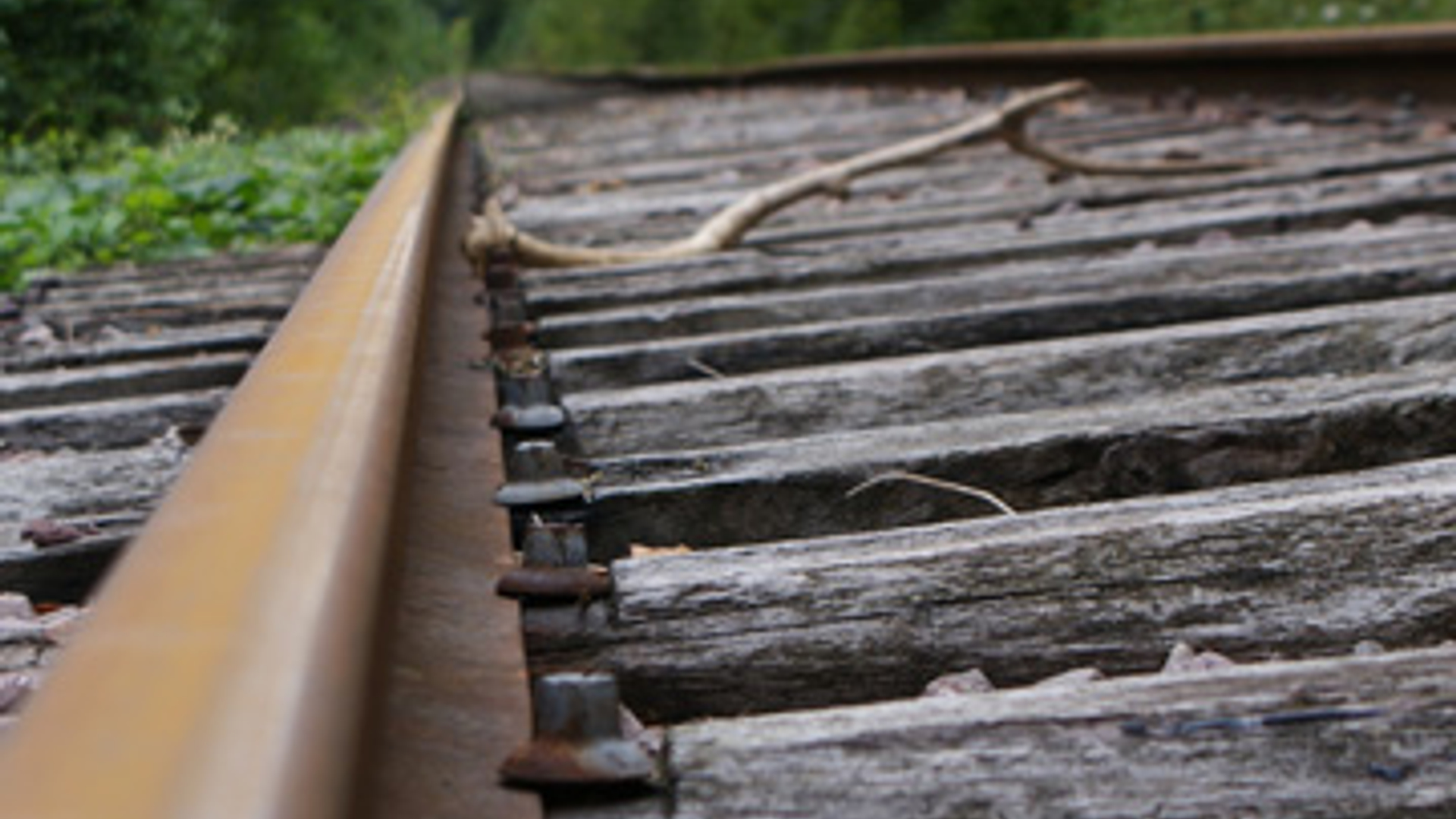 trein_spoor_rails_11.jpg
