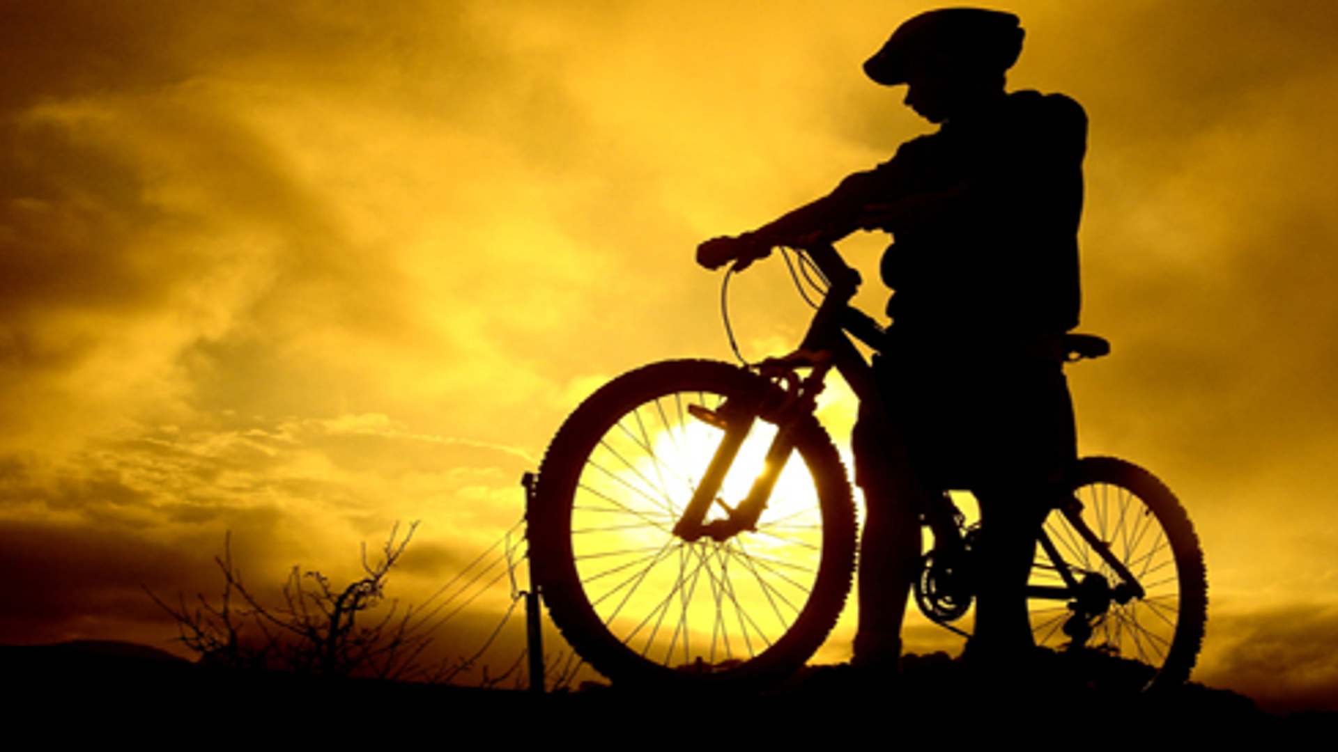 fietshelm_06.jpg