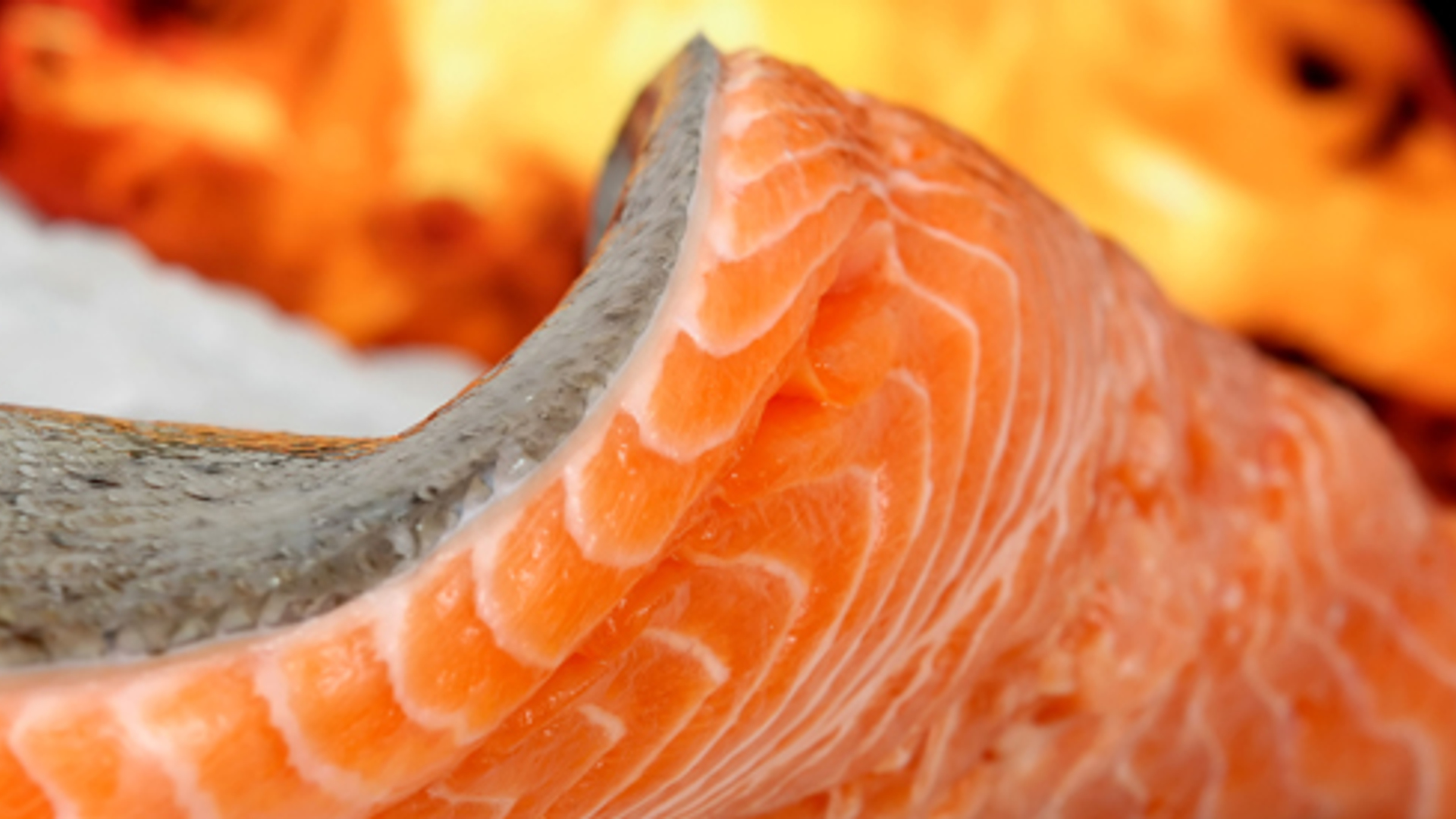 Zalm_2_02.jpg