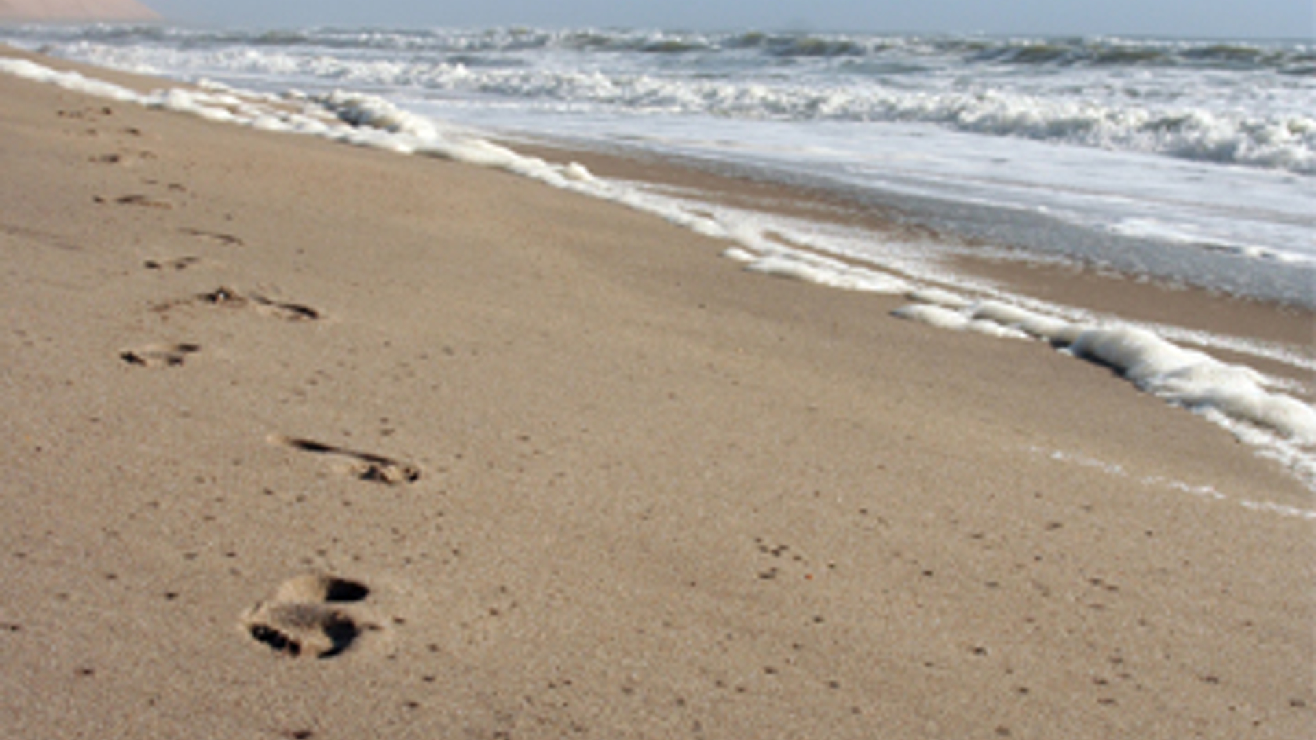 strand_wandelen.jpg