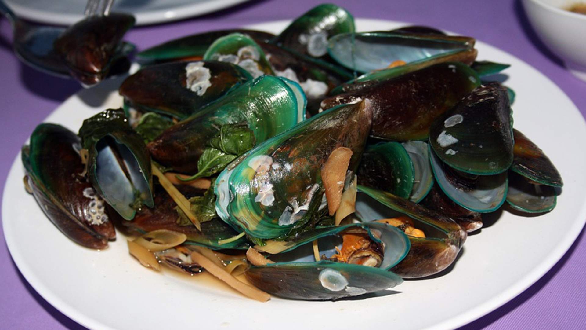 mossel930x520