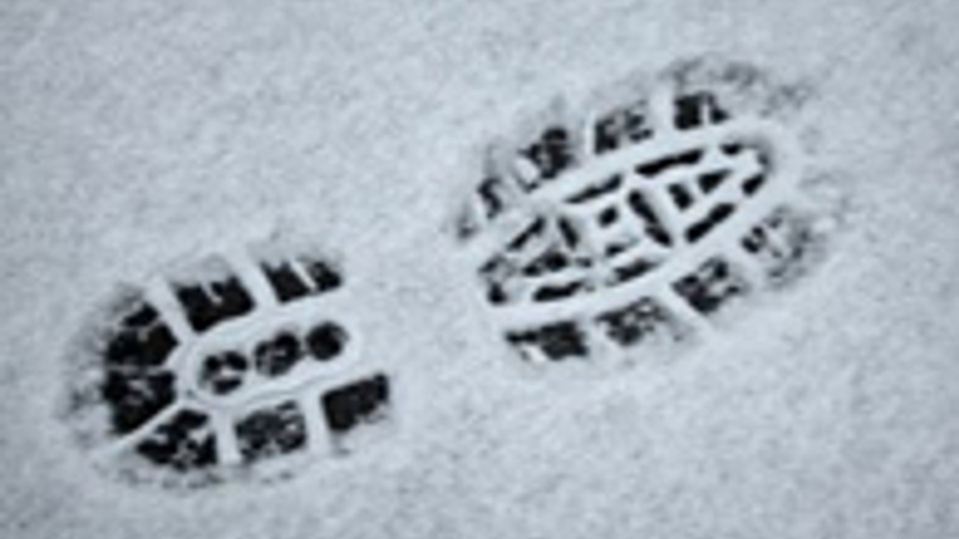 snowprint_04.jpg