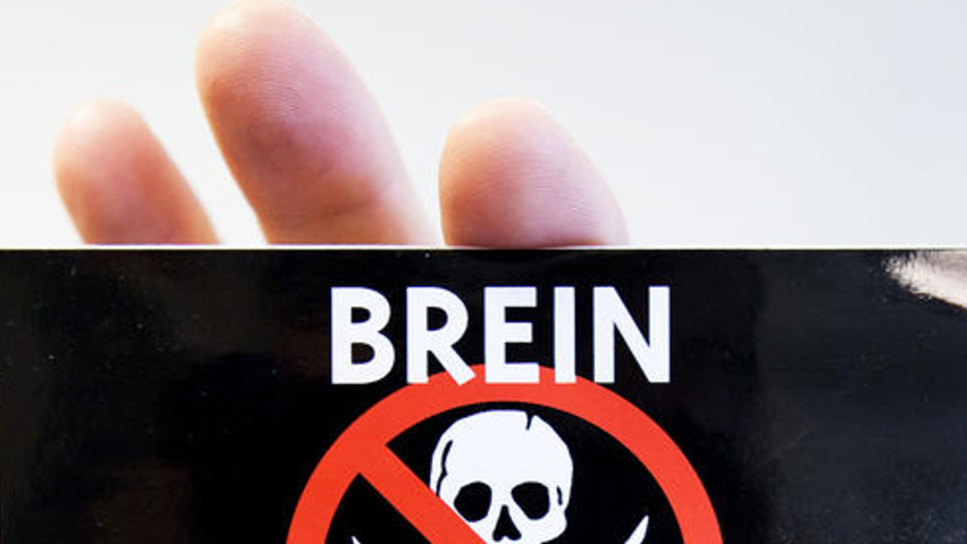 brein_01.jpg