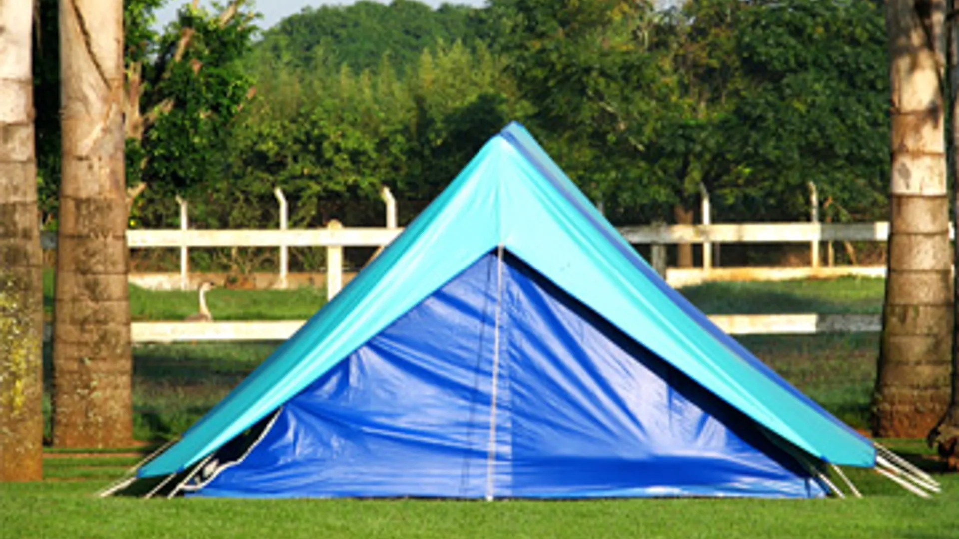 camping_05.jpg