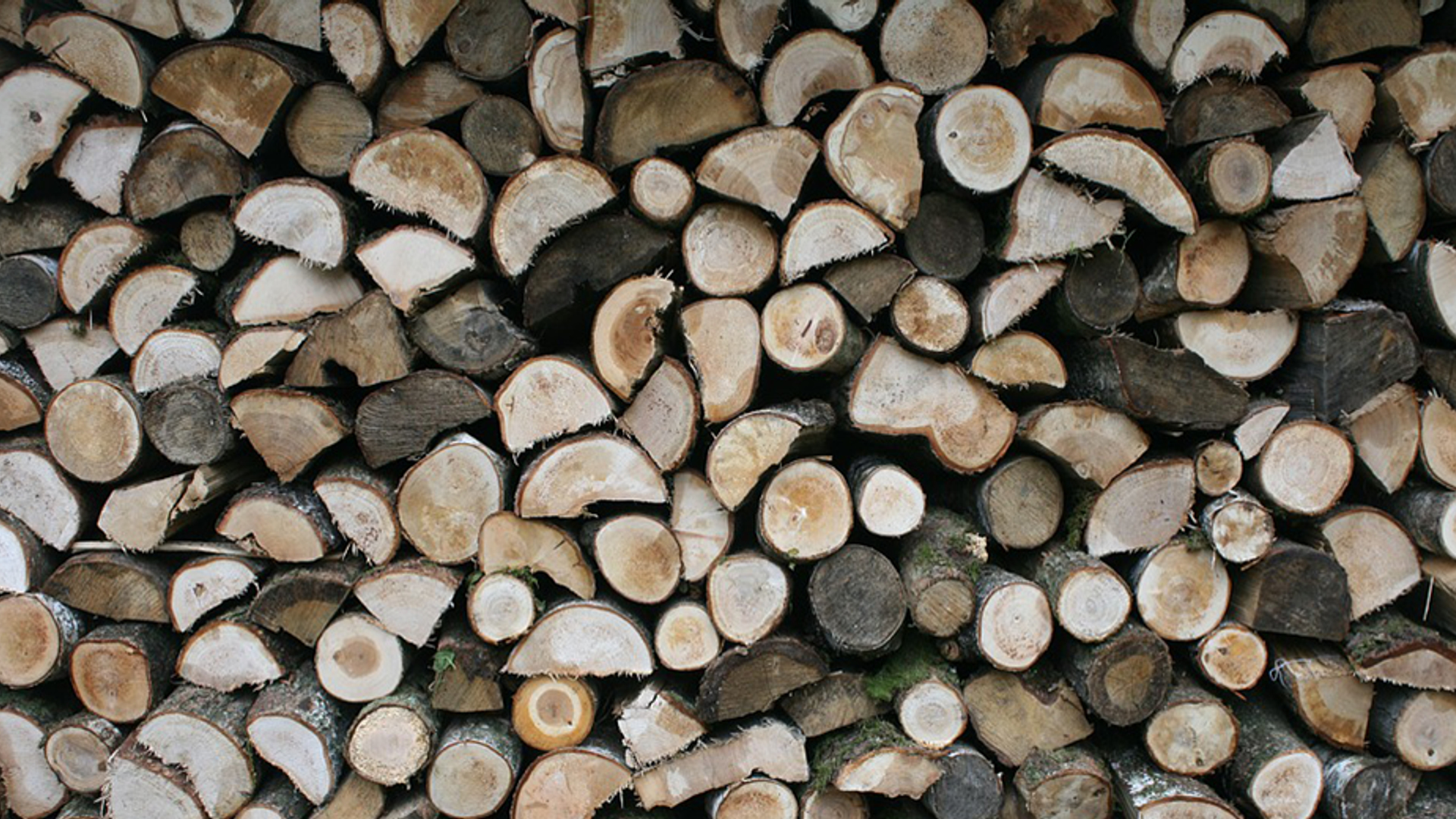 hout930x520