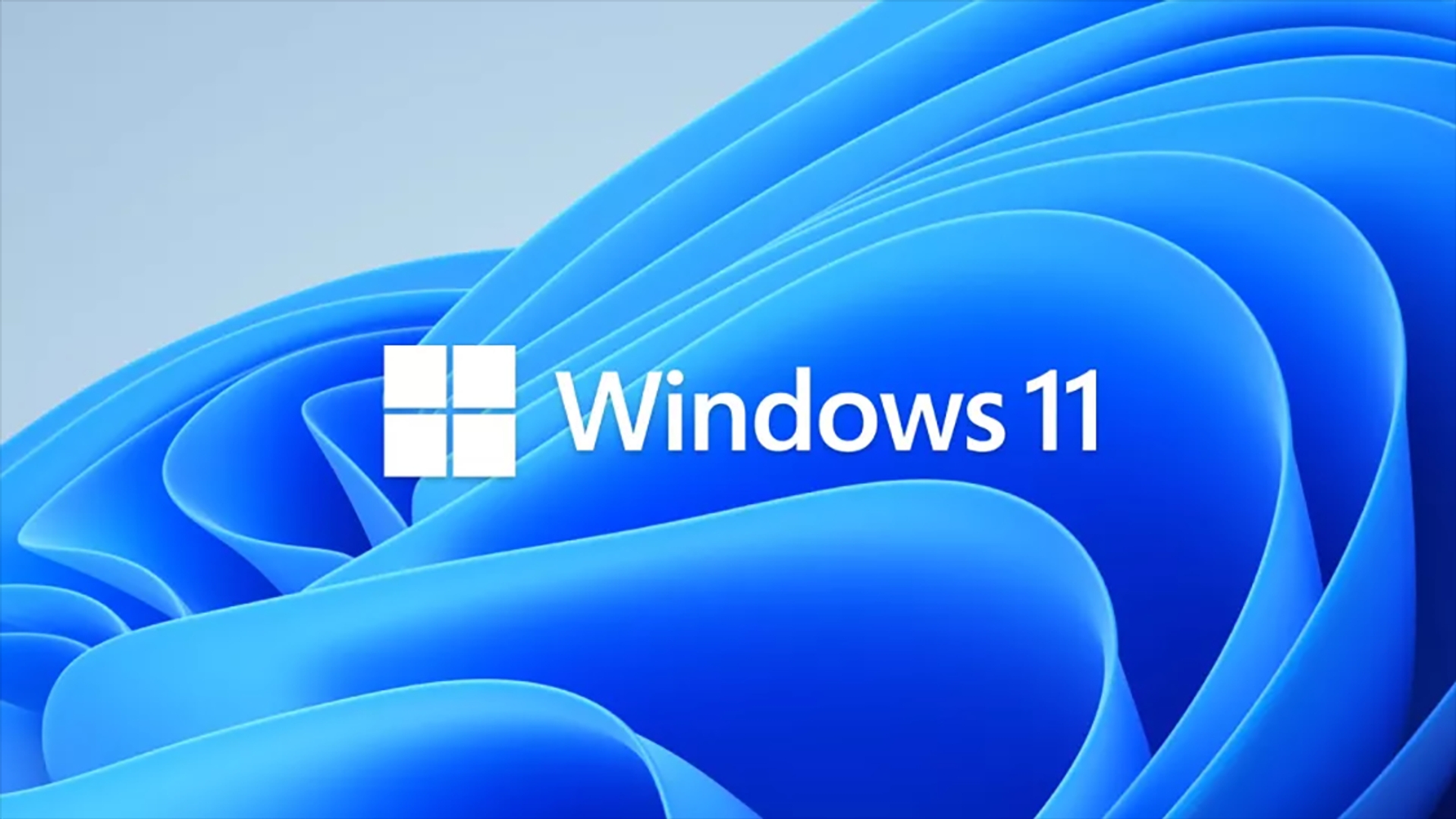 windows 11 logo 1127