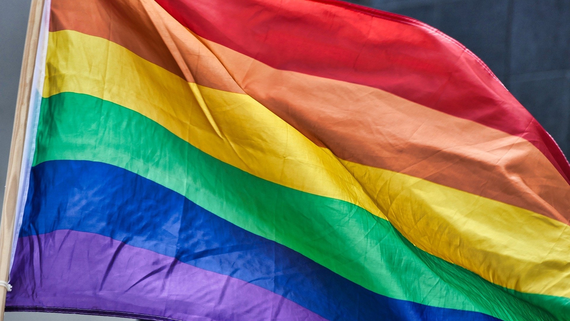 Regenboogvlag homo's