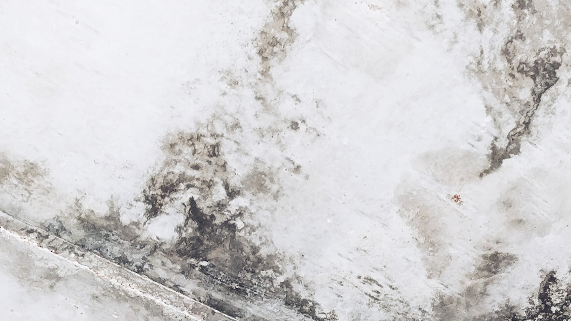 Afbeelding van Meer meldingen van schimmelvorming in woningen sinds energiecrisis