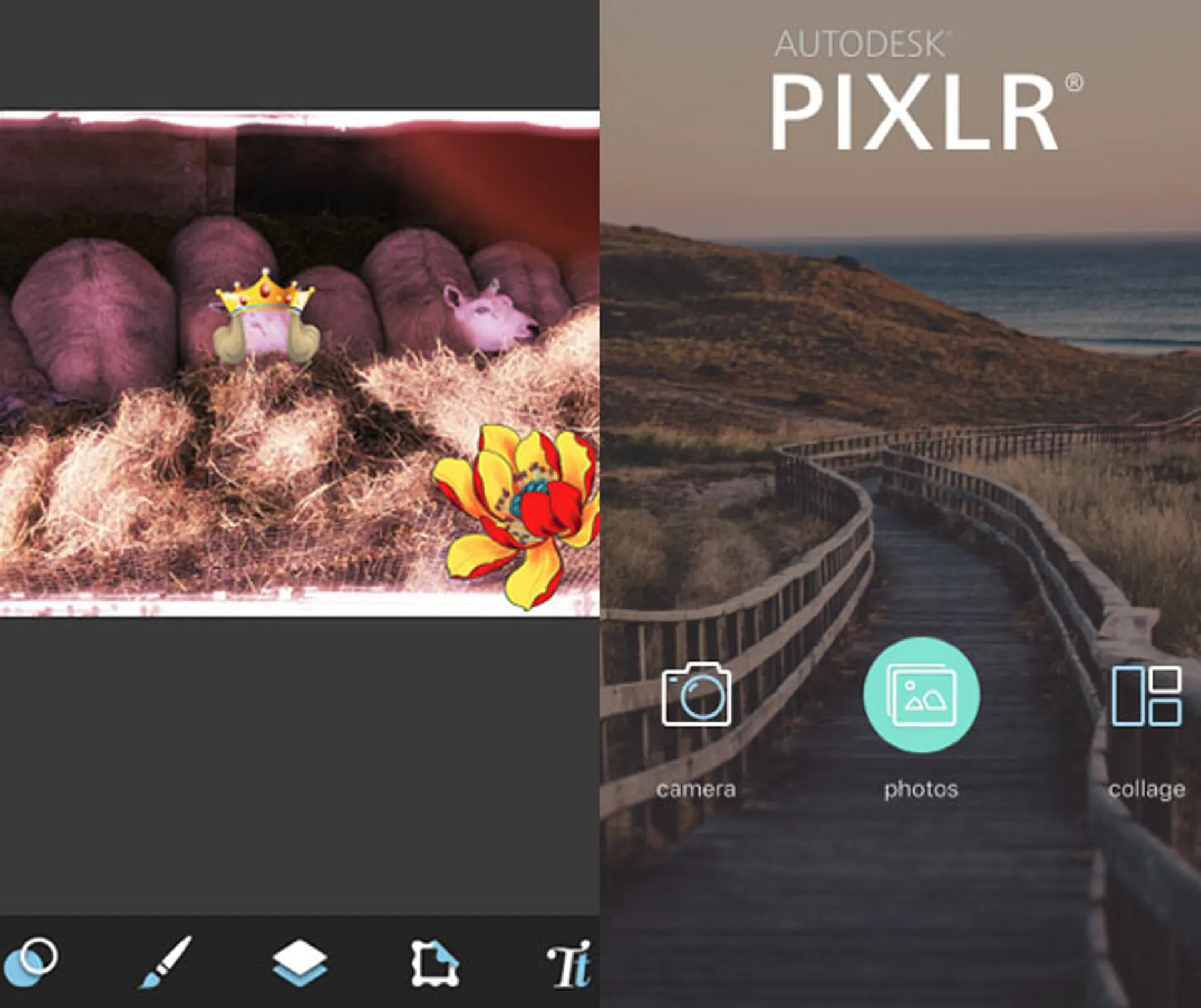 pxlr app