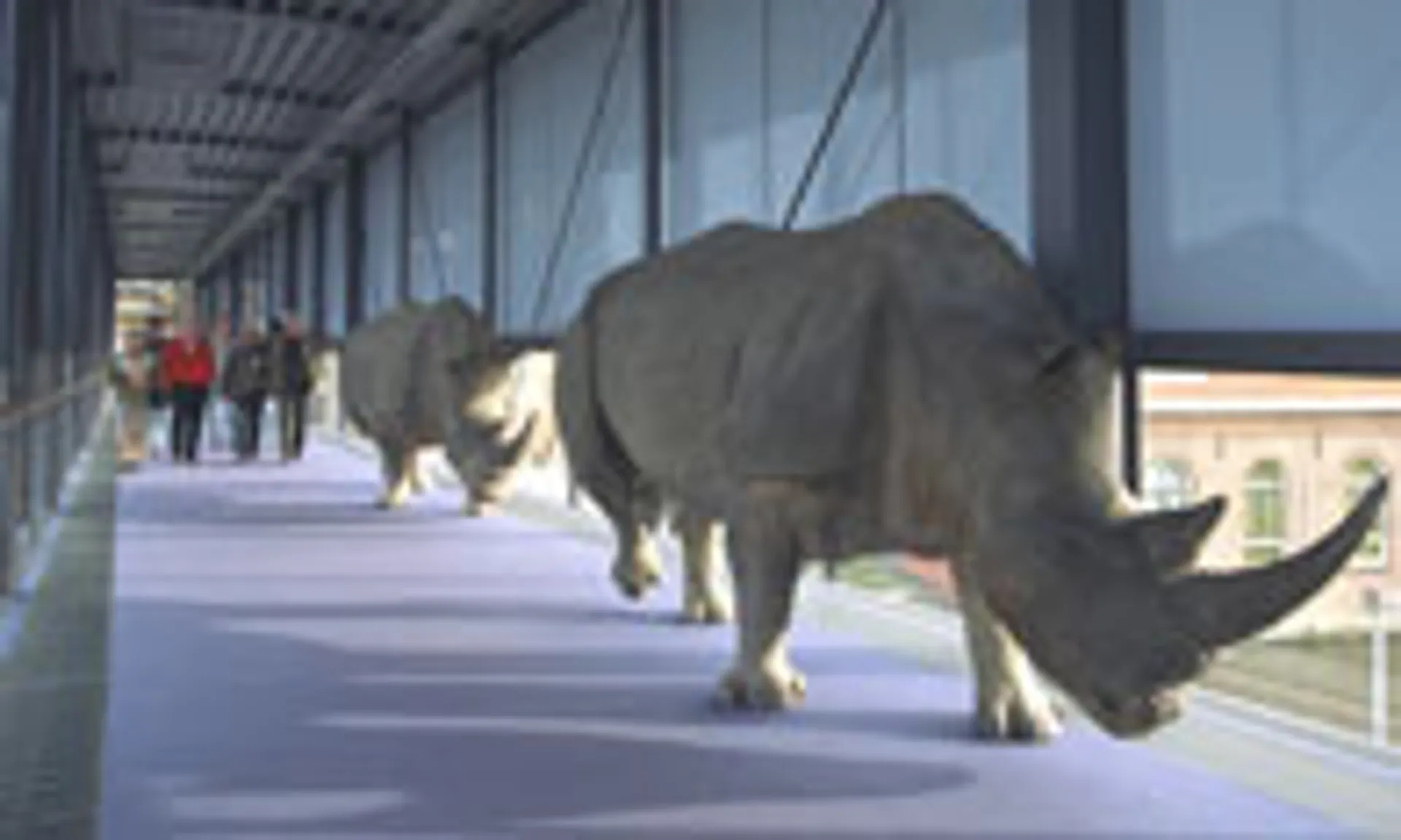 Afbeelding van Naturalis ontvangt 3 miljoenste bezoeker