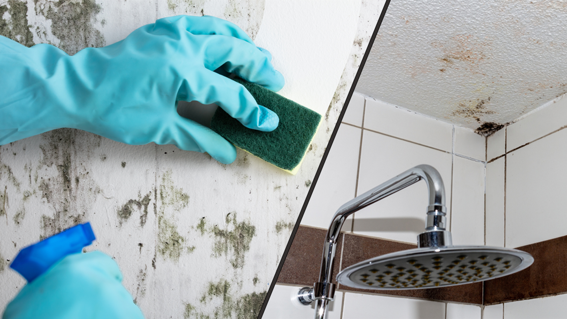 Voorkom schimmel in zowel de douche als de badkamer met deze tips! Kassa BNNVARA