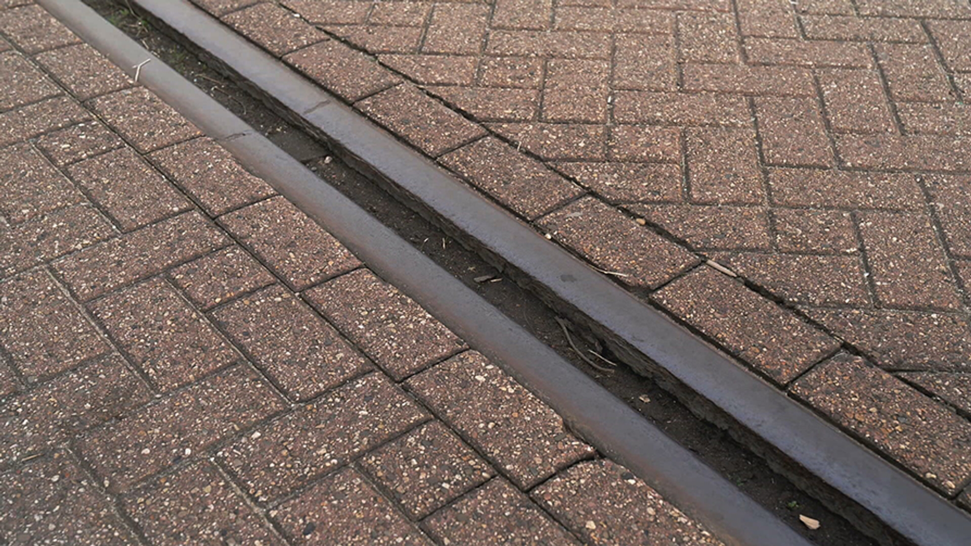 tramrails_894px