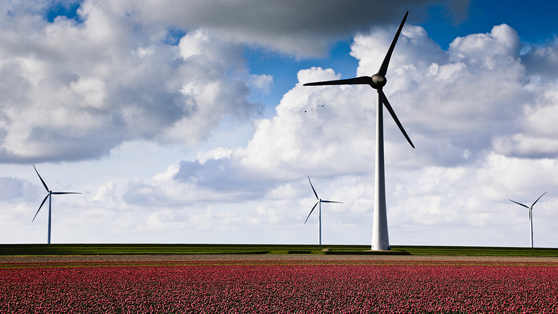 Afbeelding van Klimaatdoelen vereisen extra maatregelen kabinet