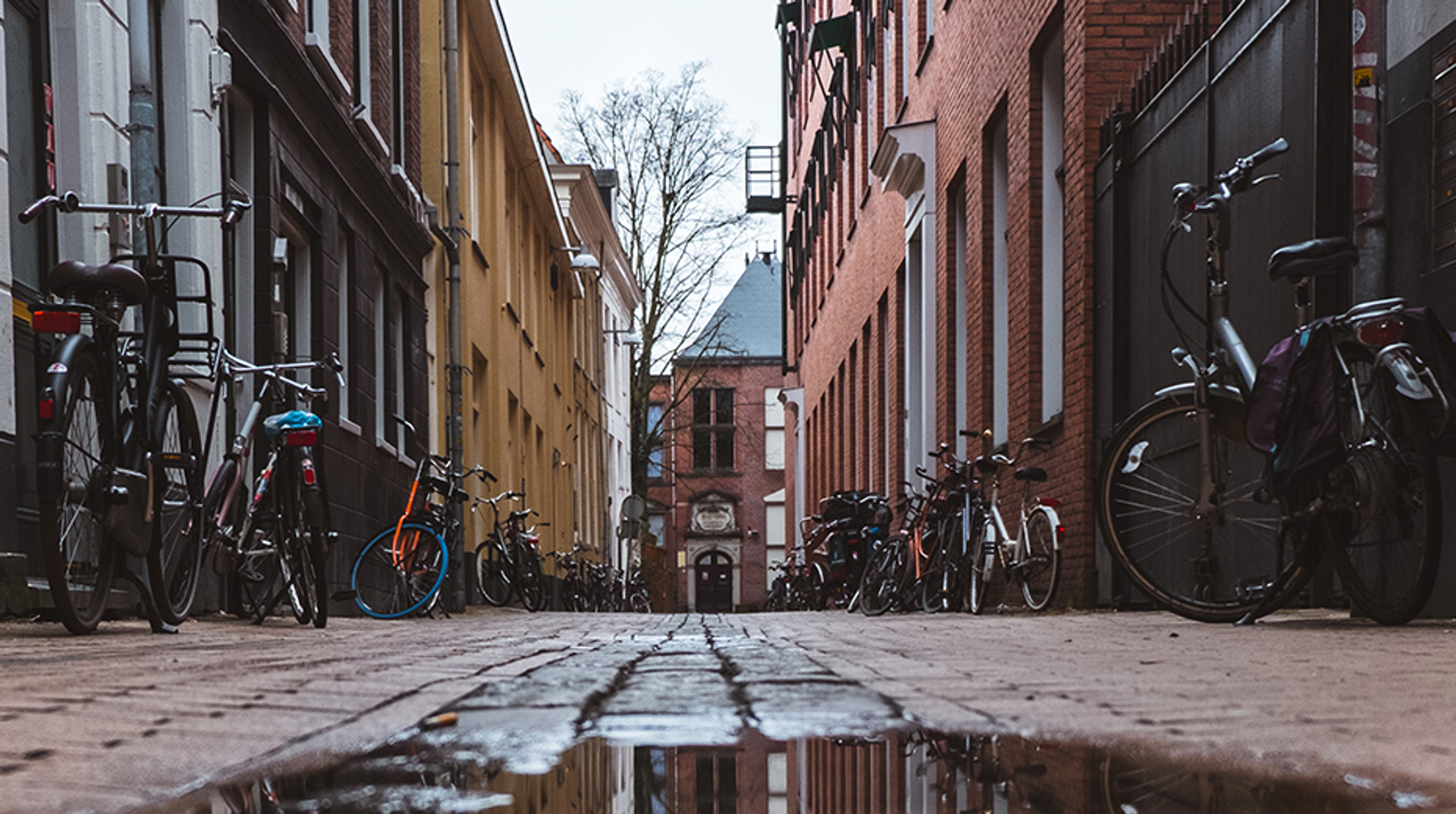 Afbeelding van Woonplaats bepalend voor welvaart