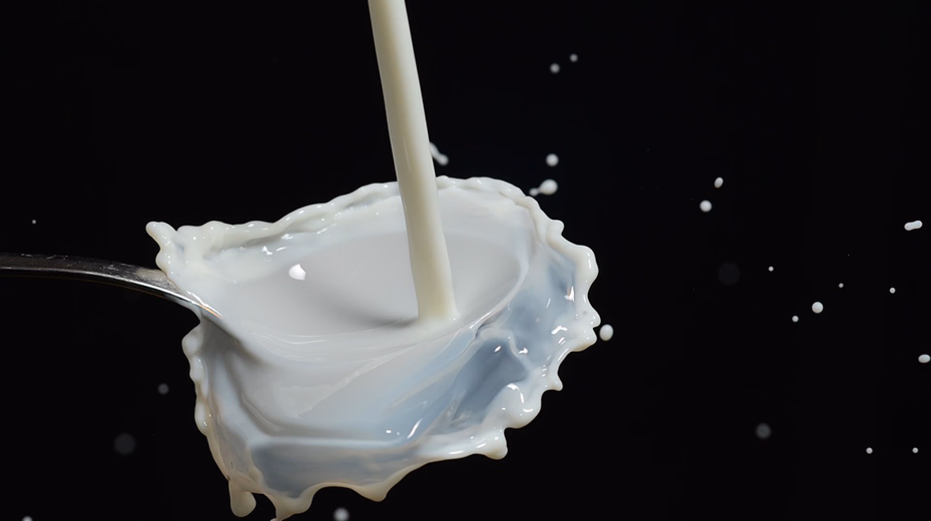 Afbeelding van Melk en karnemelk huismerk Plus biologisch