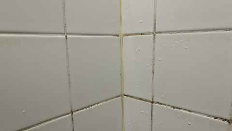 voegen reinigen met azijn