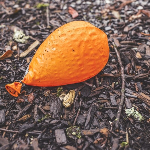 Noordzeekust bezaaid met ballonnen