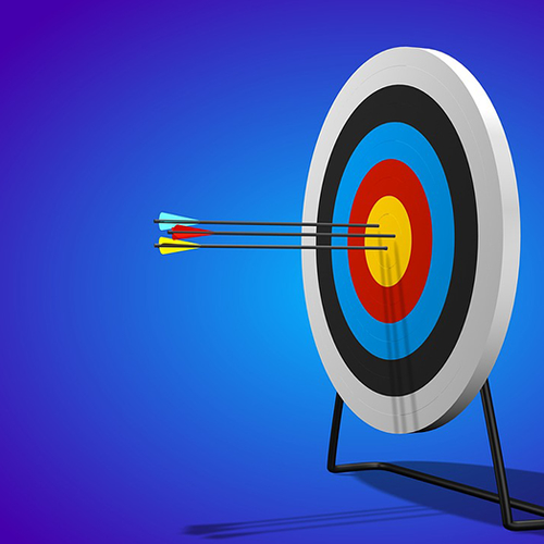 Wat is micro-targeting?