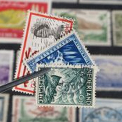 'Meer aandacht voor obsessieve verzameldrang'