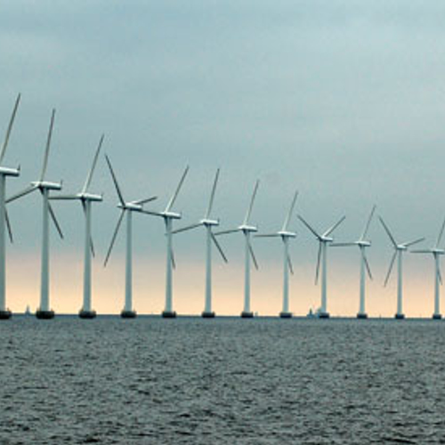 Windparken worden ook zeewierboerderijen