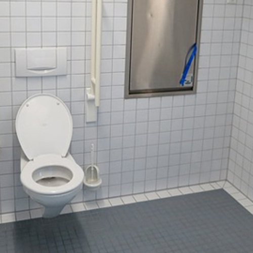 Toilet voor lichamelijk beperkten vaak ontoegankelijk