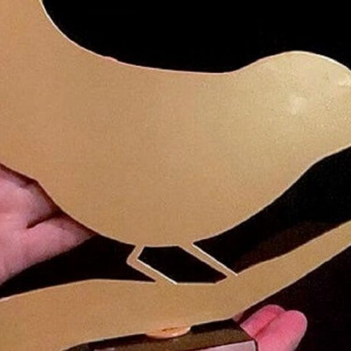 House of Animals Award voor Kassa