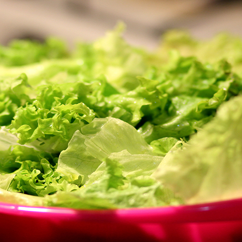 Prijspakker: de Saladinette ijsbergsla bij de Lidl