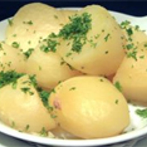 Krieltje houdt niet van de hitte