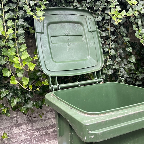 Zo voorkom je rottende etenswaren en maden in de groene container