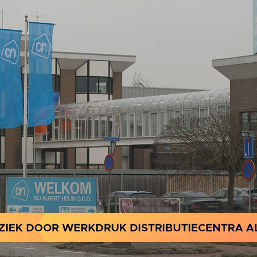 Nieuws: Migranten ziek door werkdruk distributiecentra Albert Heijn