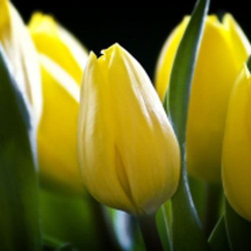 Tuincentra: sproeimiddelen niet aan te slepen