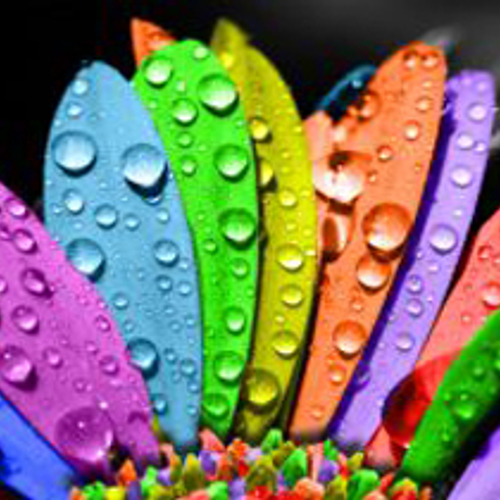 Wij kiezen voor 'veilige' kleurencombinaties