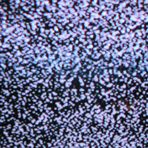 Rechter steekt stokje voor tv-gids Telegraaf