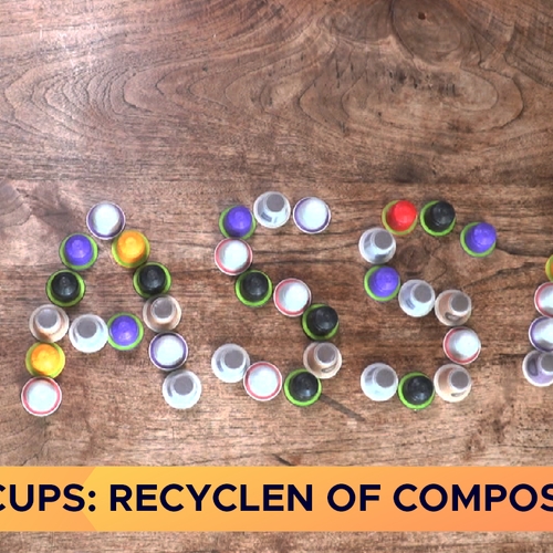 Koffiecups: moet je die nou recyclen of composteren?