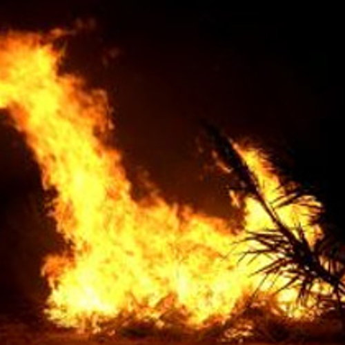 Code rood op de Veluwe