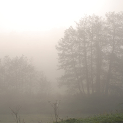 Opnieuw overlast door mist