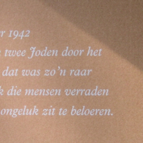 Dagboek Anne Frank ook voor dyslectici