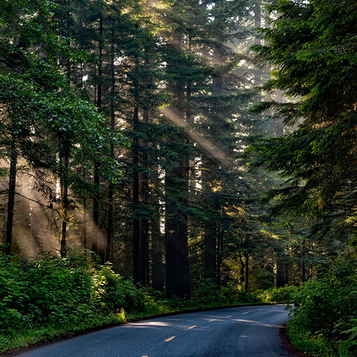 Senioren in krimpgebieden ervaren problemen