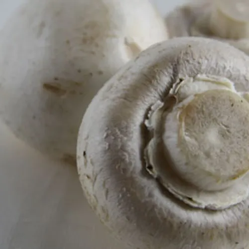 Asscher praat met supermarkt over champignons