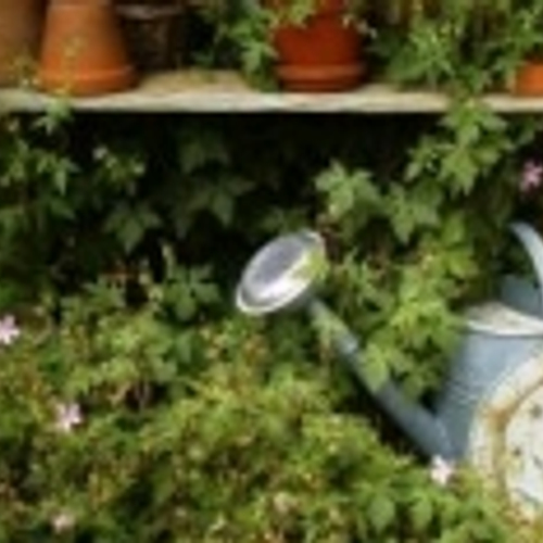 Doe mee met onze tuinenquête