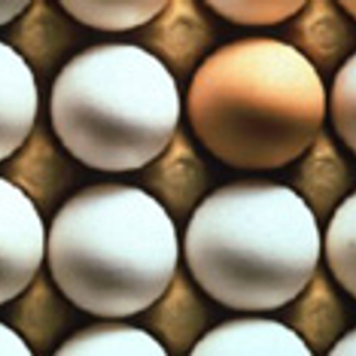 Uitslagen tweede onderzoek