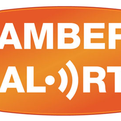 Meer masten langs snelweg tonen Amber Alert