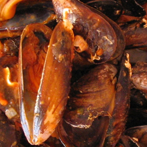 Mosselhandelaar weigert inzicht in handel ziekmakende mosselen