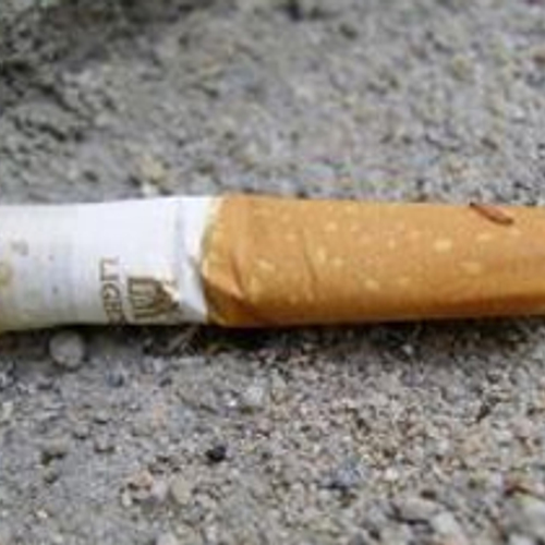 Jaarlijks 600.000 doden door meeroken